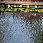 Ferienhaeuschen Direkt Am Wasser Inklusive 2 Boote Berlin
