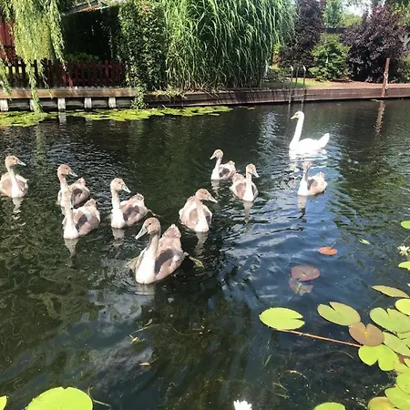 Ferienhaeuschen Direkt Am Wasser Inklusive 2 Boote Βερολίνο