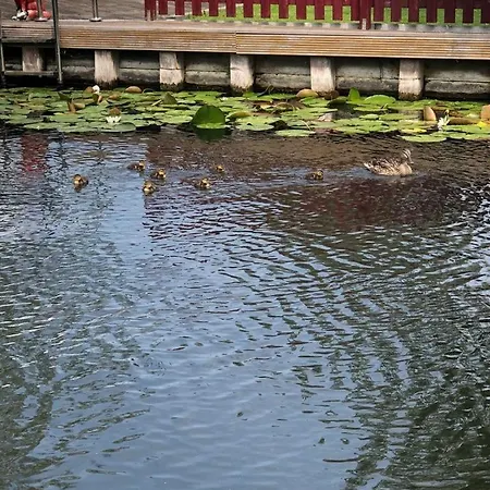 Ferienhaeuschen Direkt Am Wasser Inklusive 2 Boote Berlín