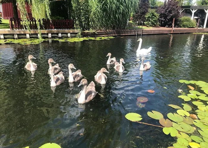 Ferienhaeuschen Direkt Am Wasser Inklusive 2 Boote ברלין