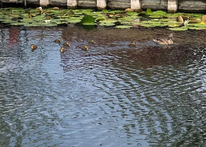 Ferienhaeuschen Direkt Am Wasser Inklusive 2 Boote ברלין